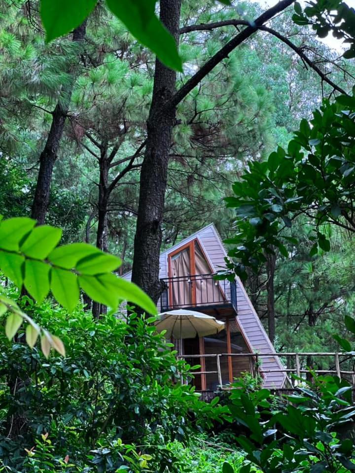 Rubik House Nhà gỗ